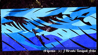 Art piece by J Hiroshi Taniguti Arita