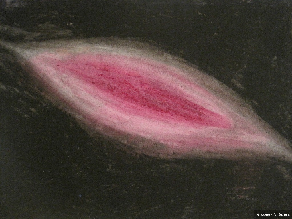 Seed
