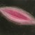 Seed
